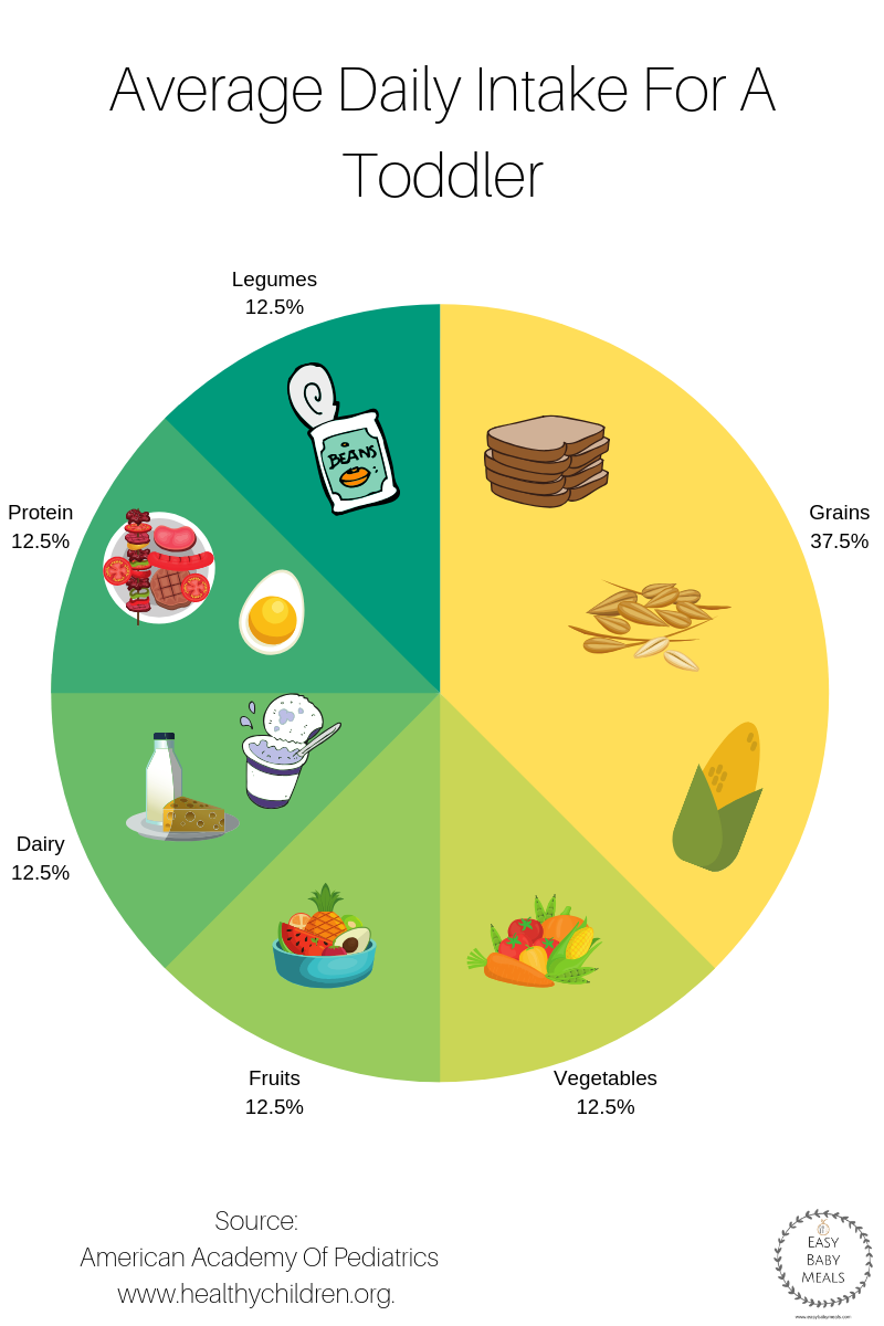 how-much-should-my-toddler-eat-easy-baby-meals